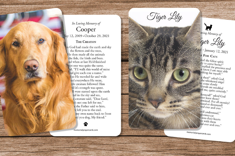 Memorial Pet Cards