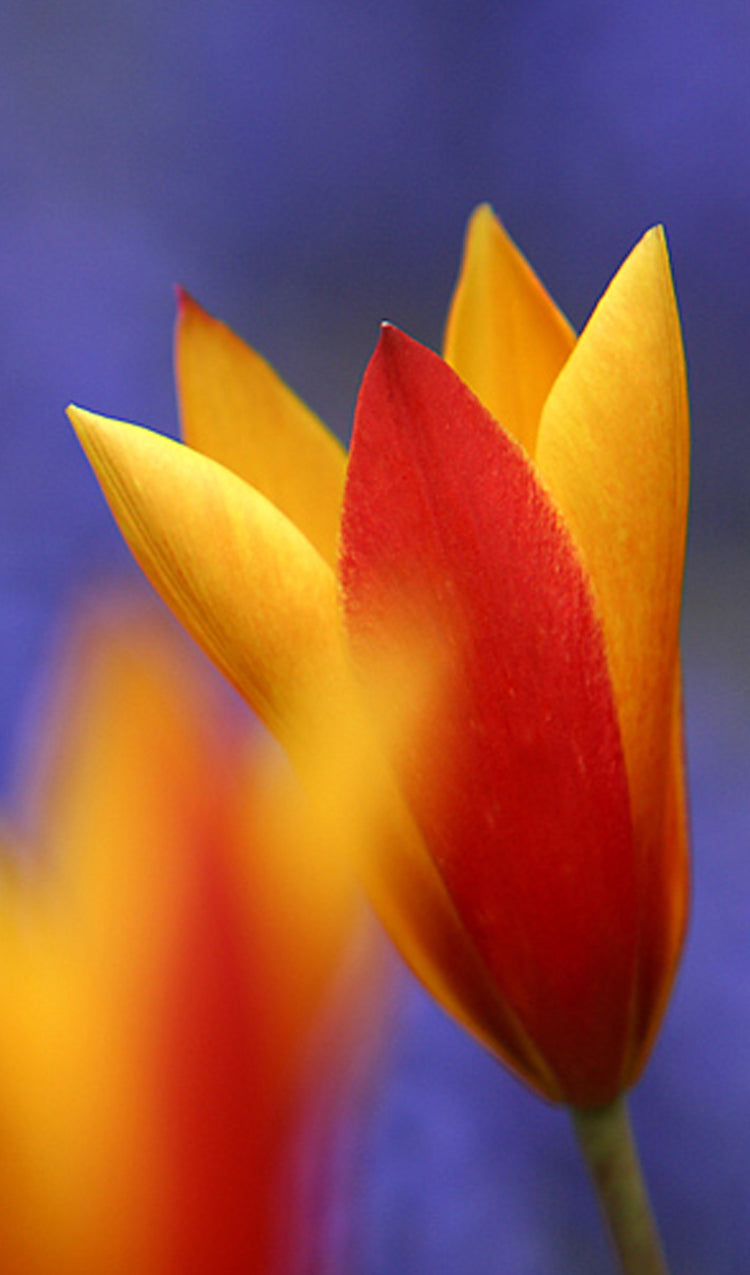 F58 jpg v 1691605590 f58-jpg-v-1691605590