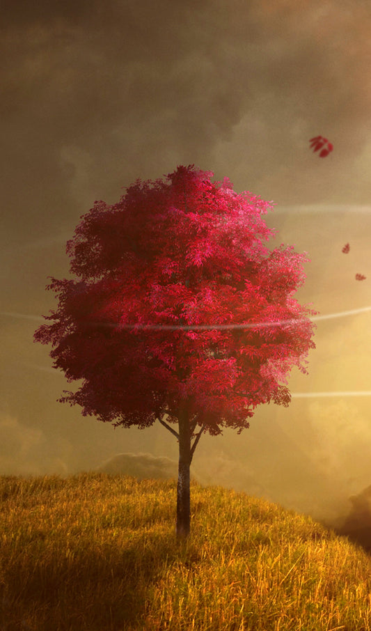Red Tree on a Windy Day