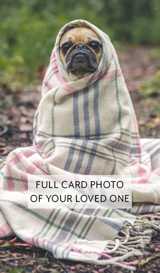 Full Card Photo of Your Beloved Pet