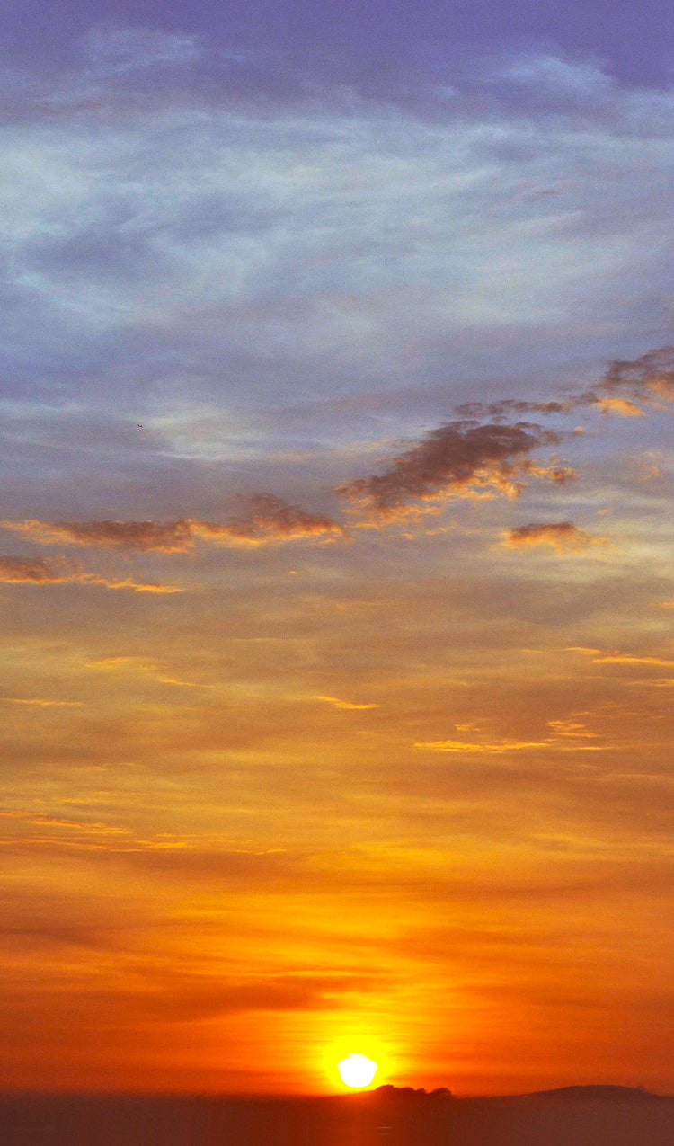 N176.jpg?v=1694110200