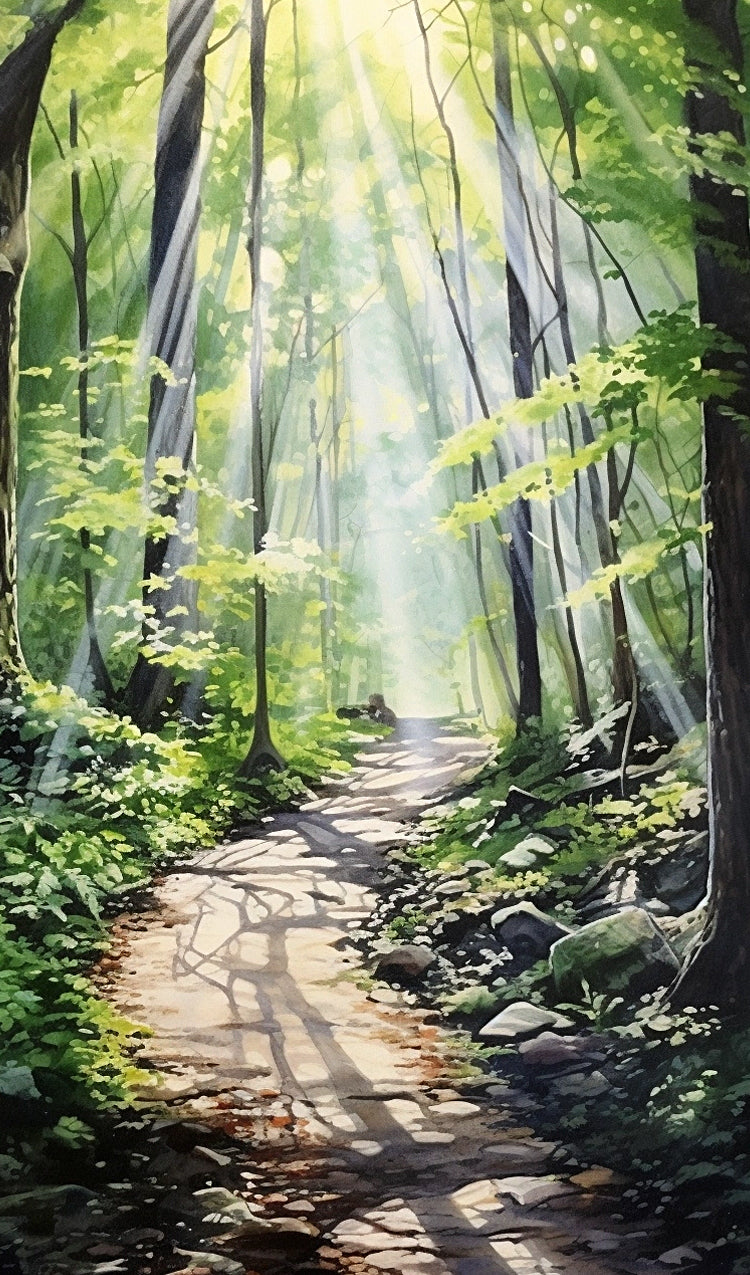 Hiking Trail Though the Forest