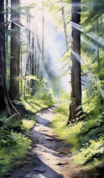 Hiking Trail Though the Forest