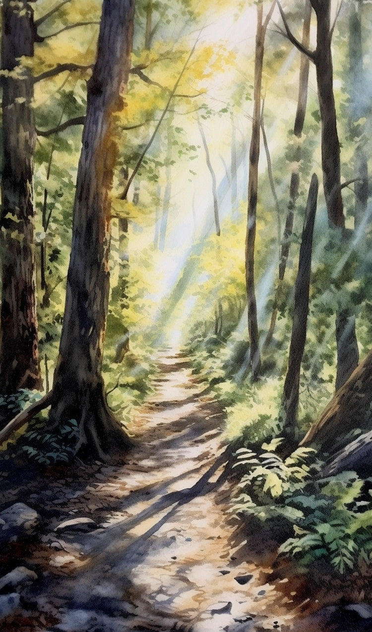 Hiking Trail Though the Forest