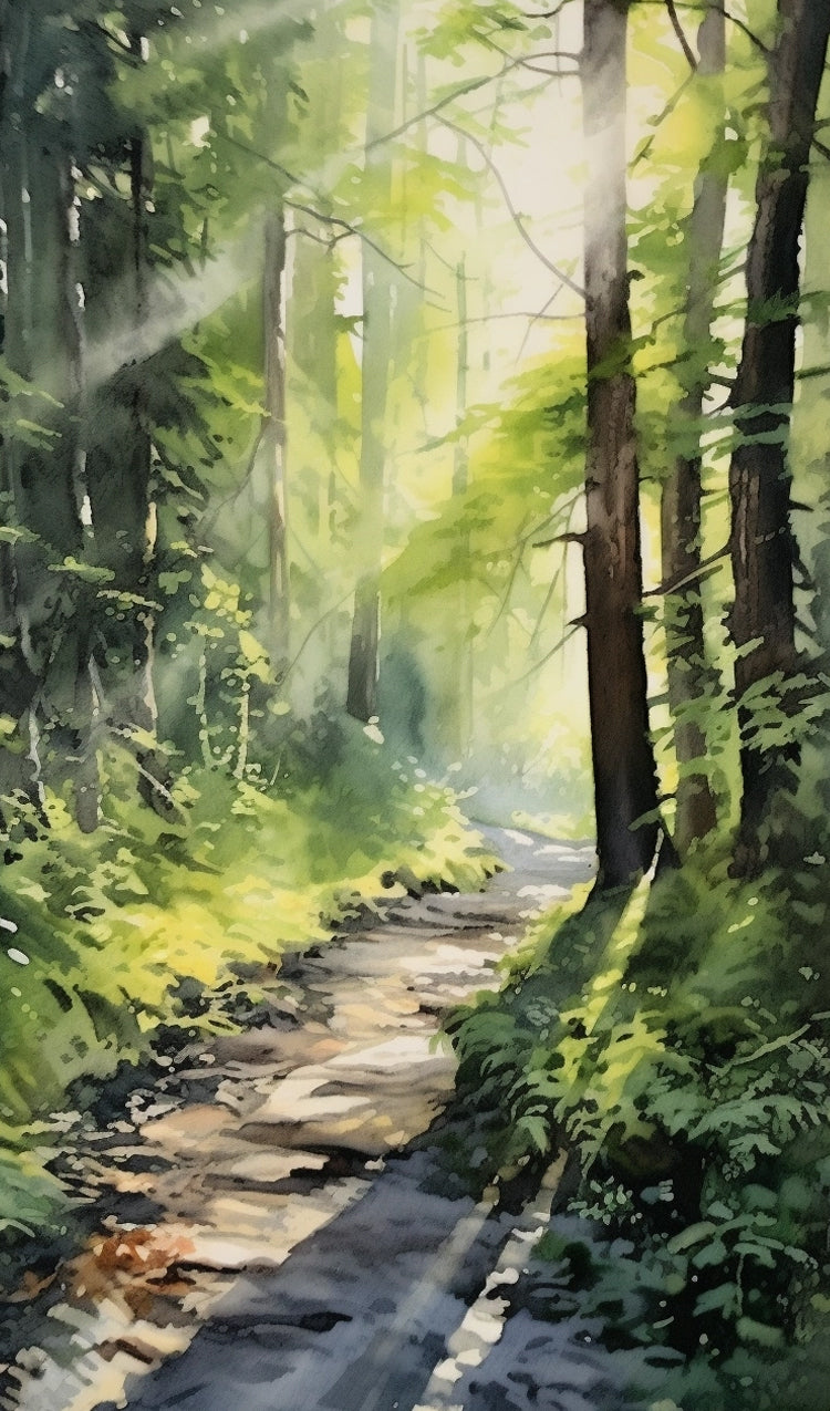 Hiking Trail Though the Forest