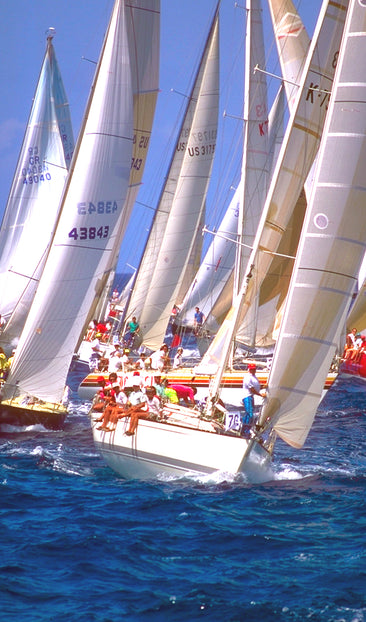 Sail Boat Race