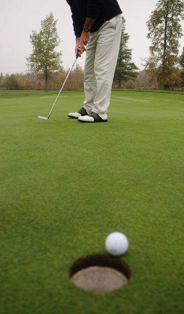 Golfer Putting in the Hole