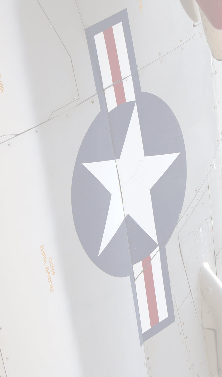 Fighter Wing
