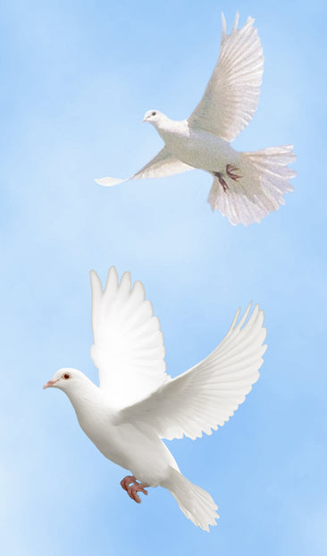 Flying Doves