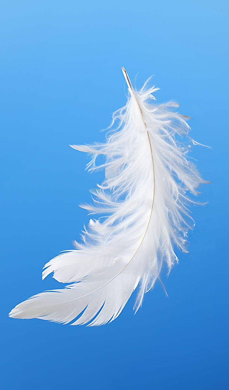 Angel Feather