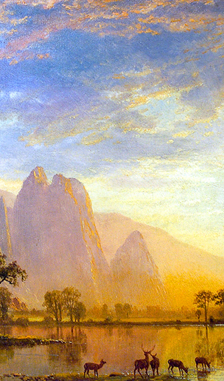 Deer on a Mountain Lake Painting