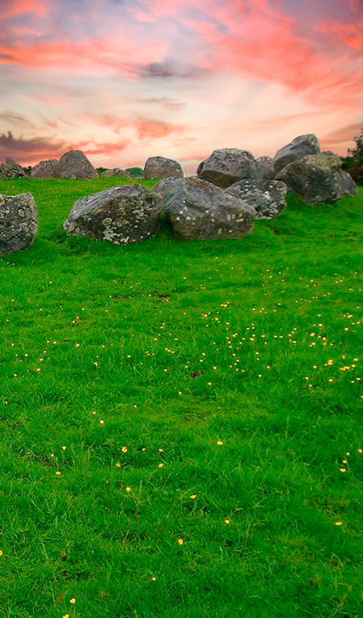 Stone Circles at Carrowmore