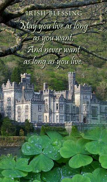 Irish Castle