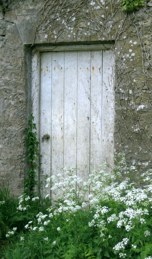 Irish Cottage Door