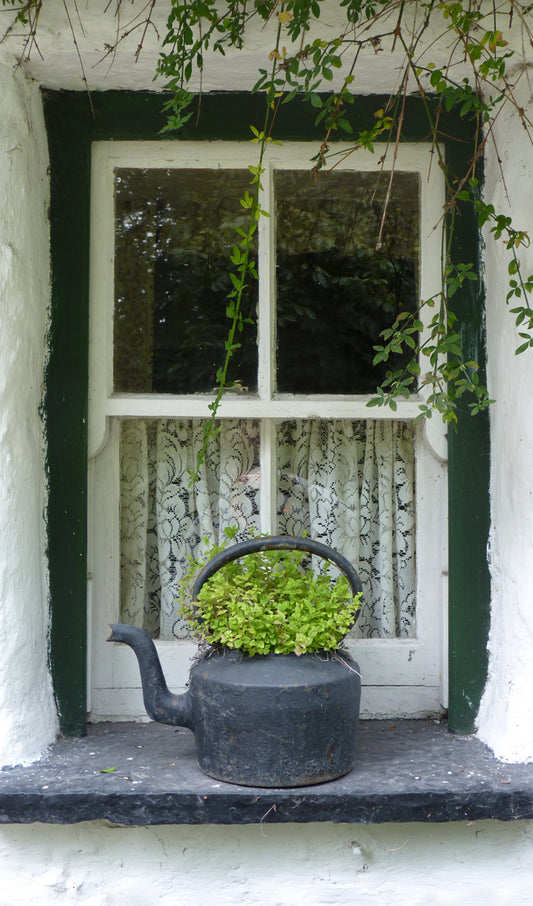 Irish Cottage Window