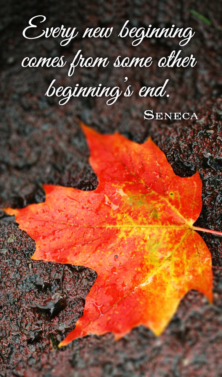"Every New Beginning"