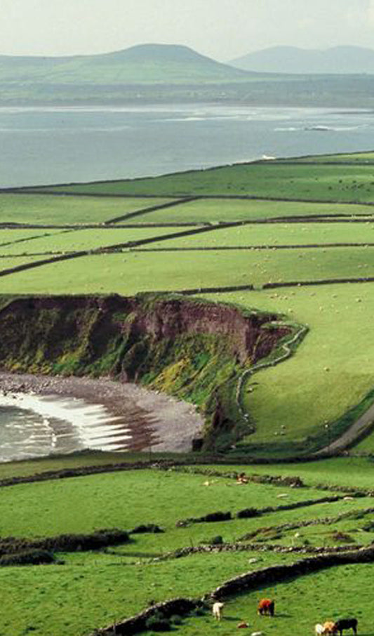Ireland Country Side by the Sea