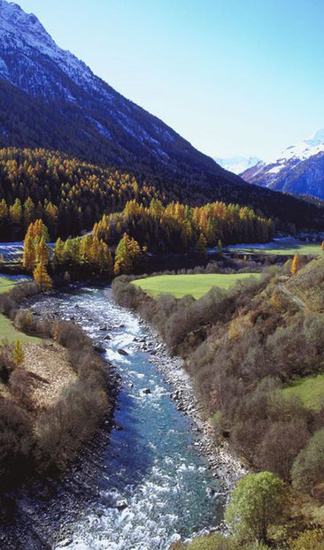 Mountain River Rapids