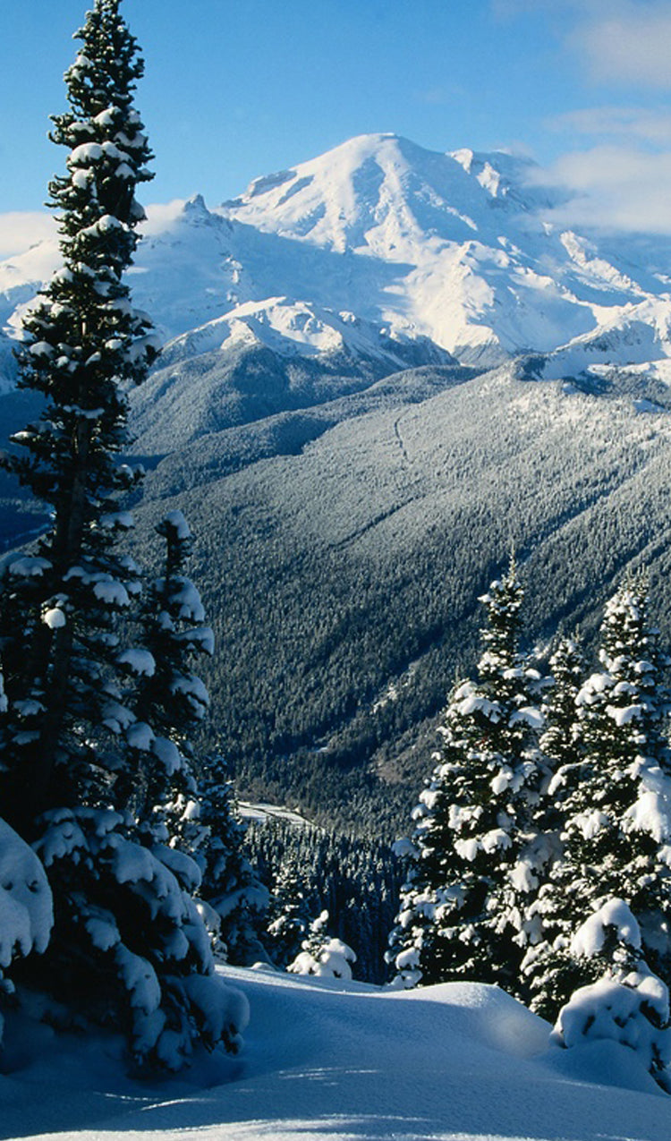Snow Covered Mountain