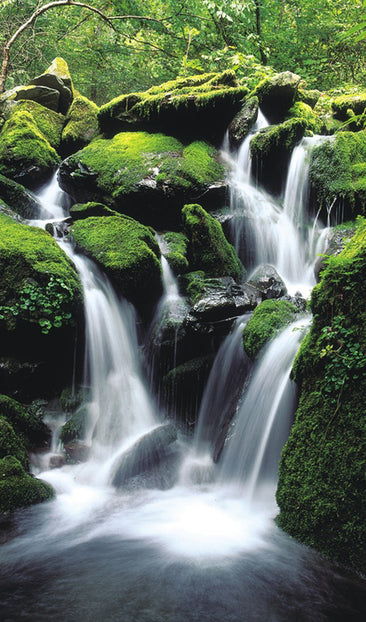 Mountain Stream