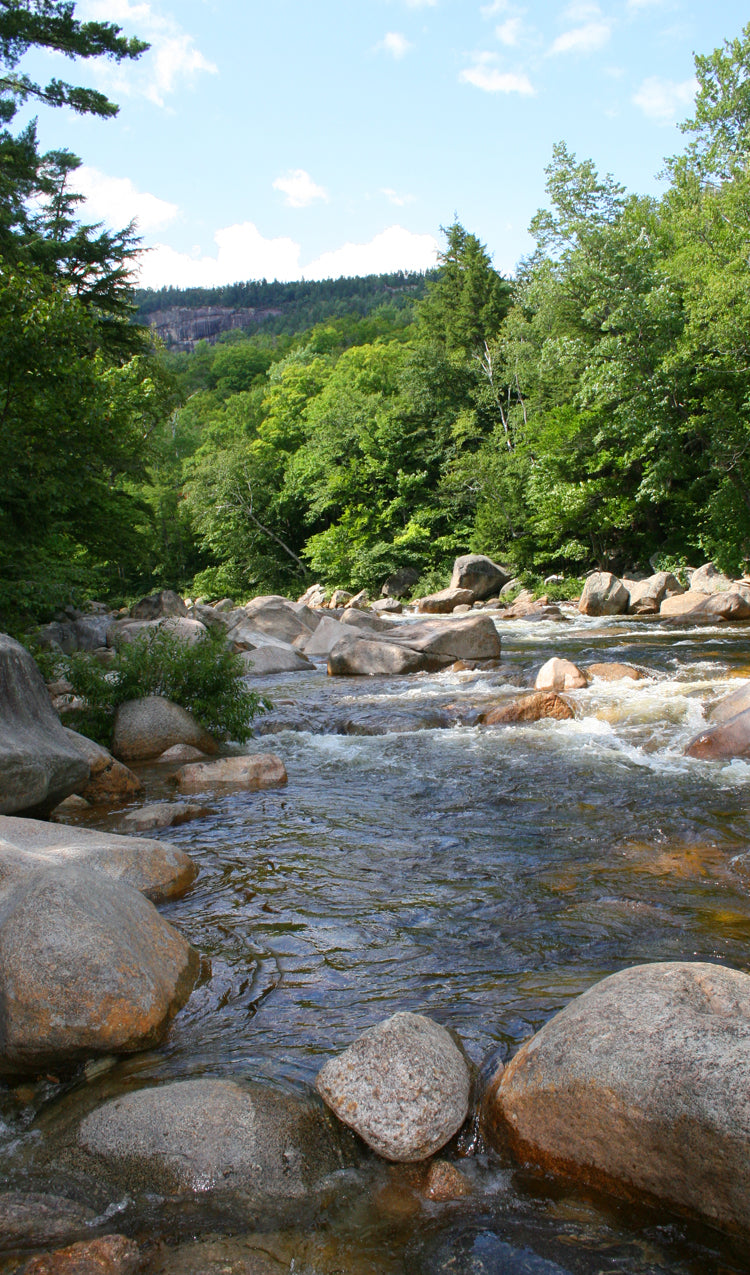 Swift River