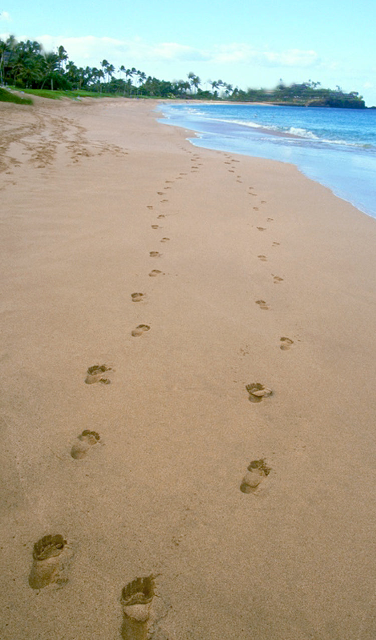 Footprints in the Sand on a Beach