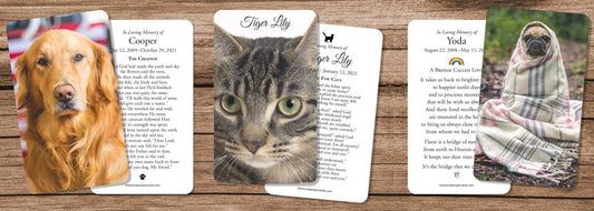 Meaningful Memorial Ideas for a Beloved Pet