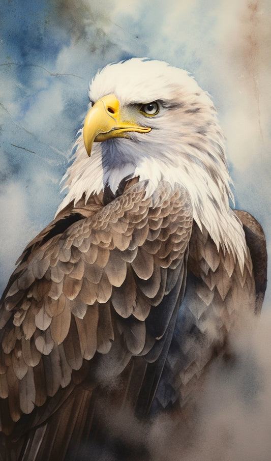 American Bald Eagle