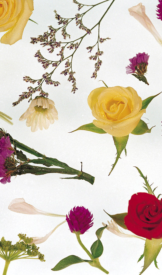 Rose Collage