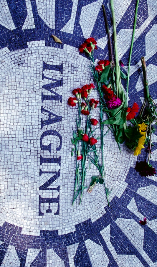 Imagine Mosaic