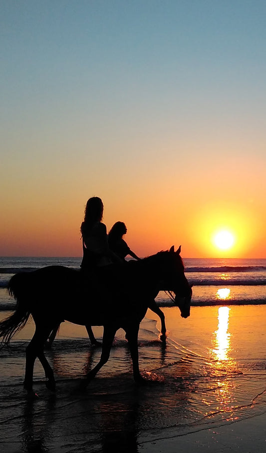 Horseback on a Beach at Sunset