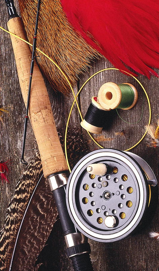 Fishing Rod and Reel