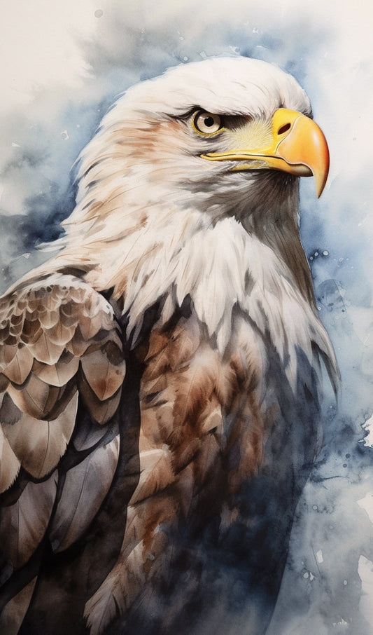 American Bald Eagle