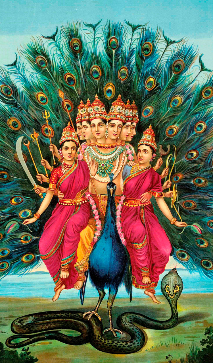 Quick Links quick-links