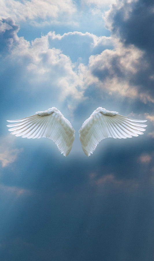 Angel Wings