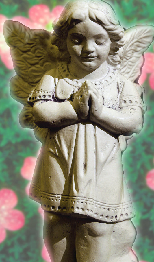 Angel Praying