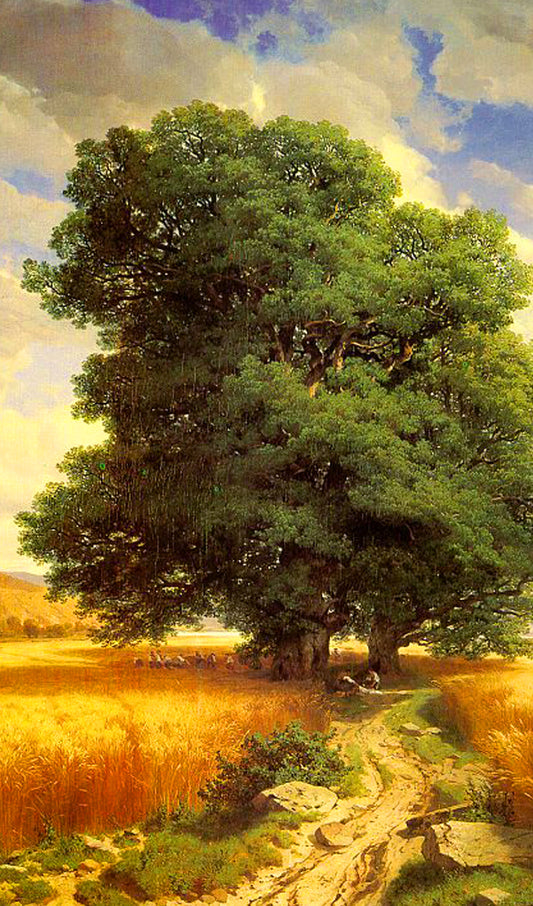Trees by the Road