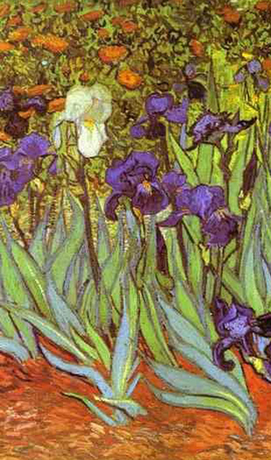 Van Gogh's Purple Lilies Painting