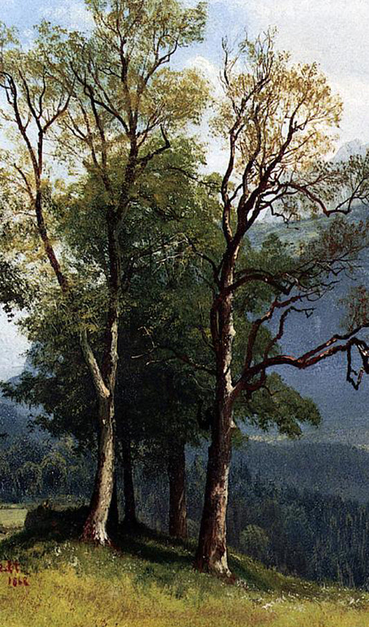 Trees in the Forest Painting