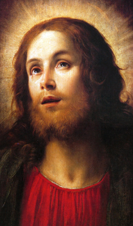 Jesus, The Son of God