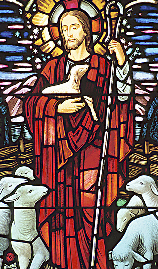 Good Shepard