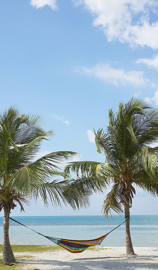 Hammock by the Sea