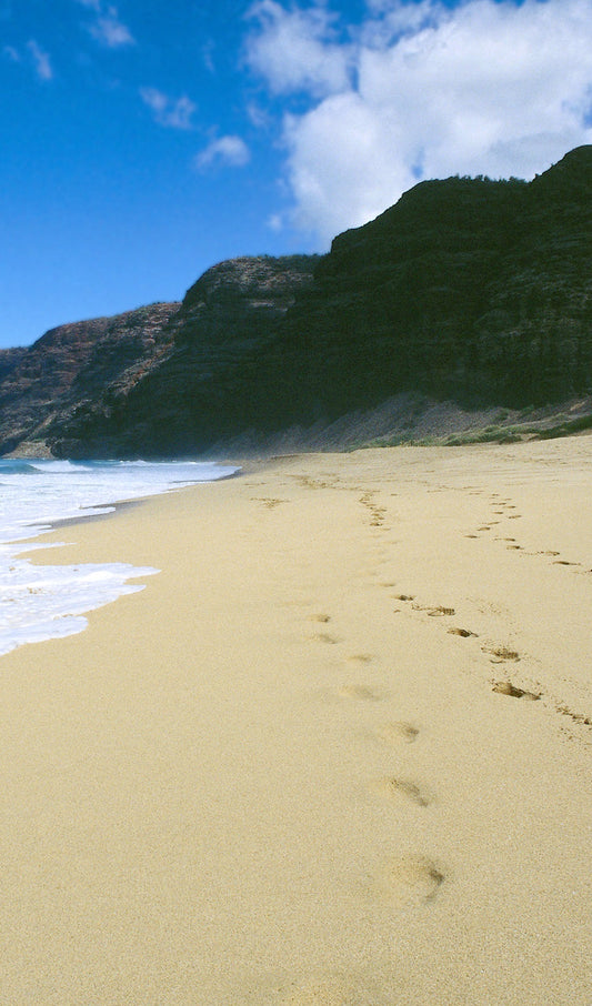 Footprints on a Beach