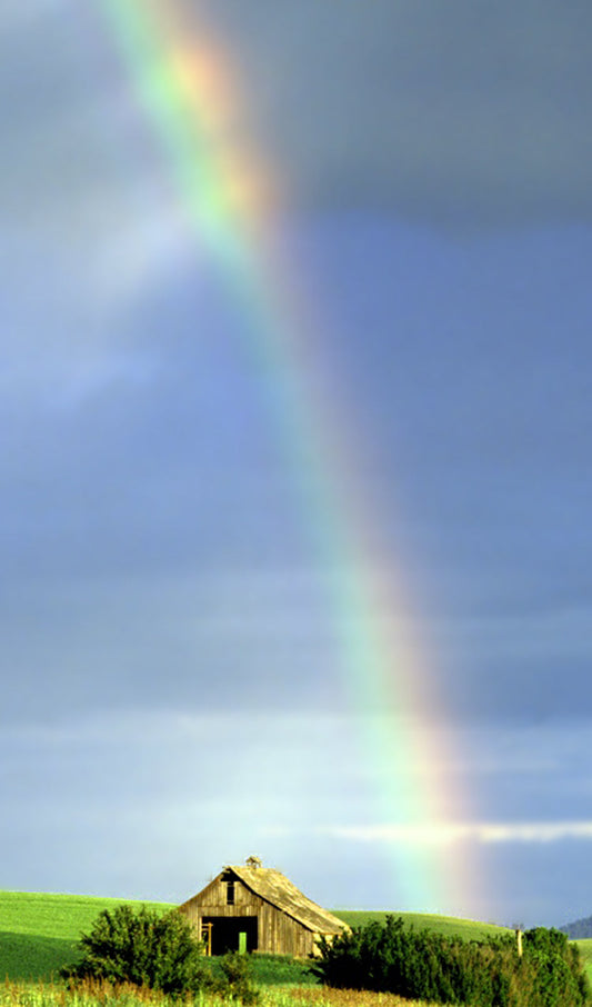 Rainbow Over An Old Barn