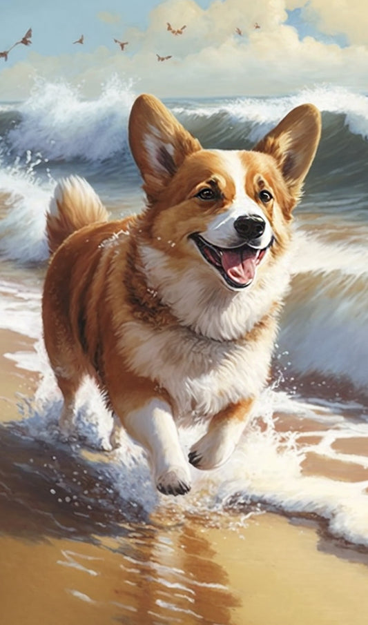 Pembroke Welsh Corgi at the Beach